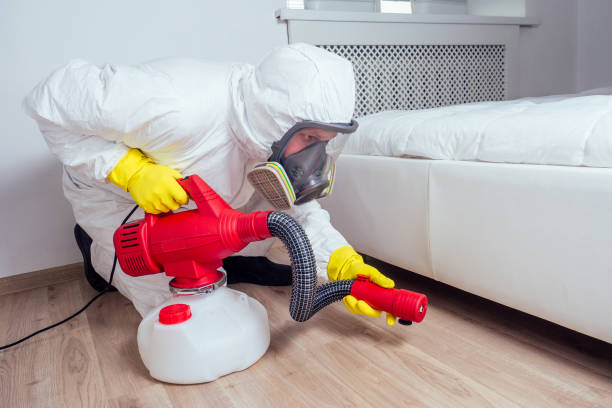 Emergency Pest Control Services in West Bountiful, UT